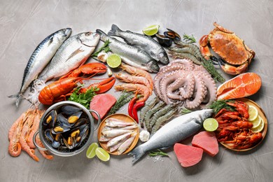 Many different sea food, herbs and lime on grey textured table, flat lay