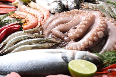 Many different sea food on table, closeup