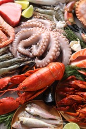 Many different sea food on grey table, above view