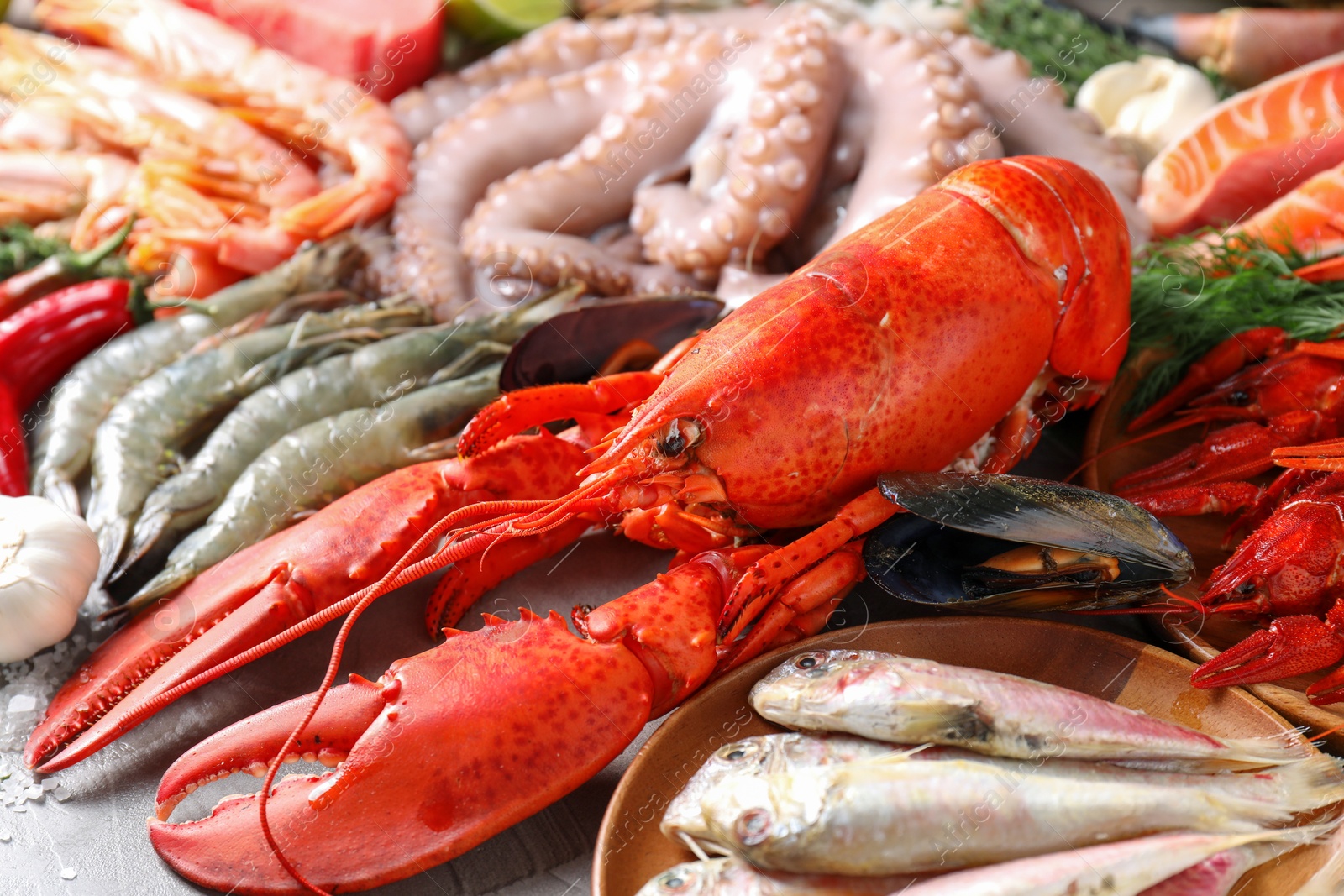 Photo of Many different sea food on grey table, closeup