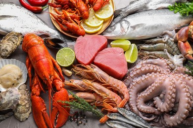 Many different sea food, herbs and lime on grey textured table, flat lay