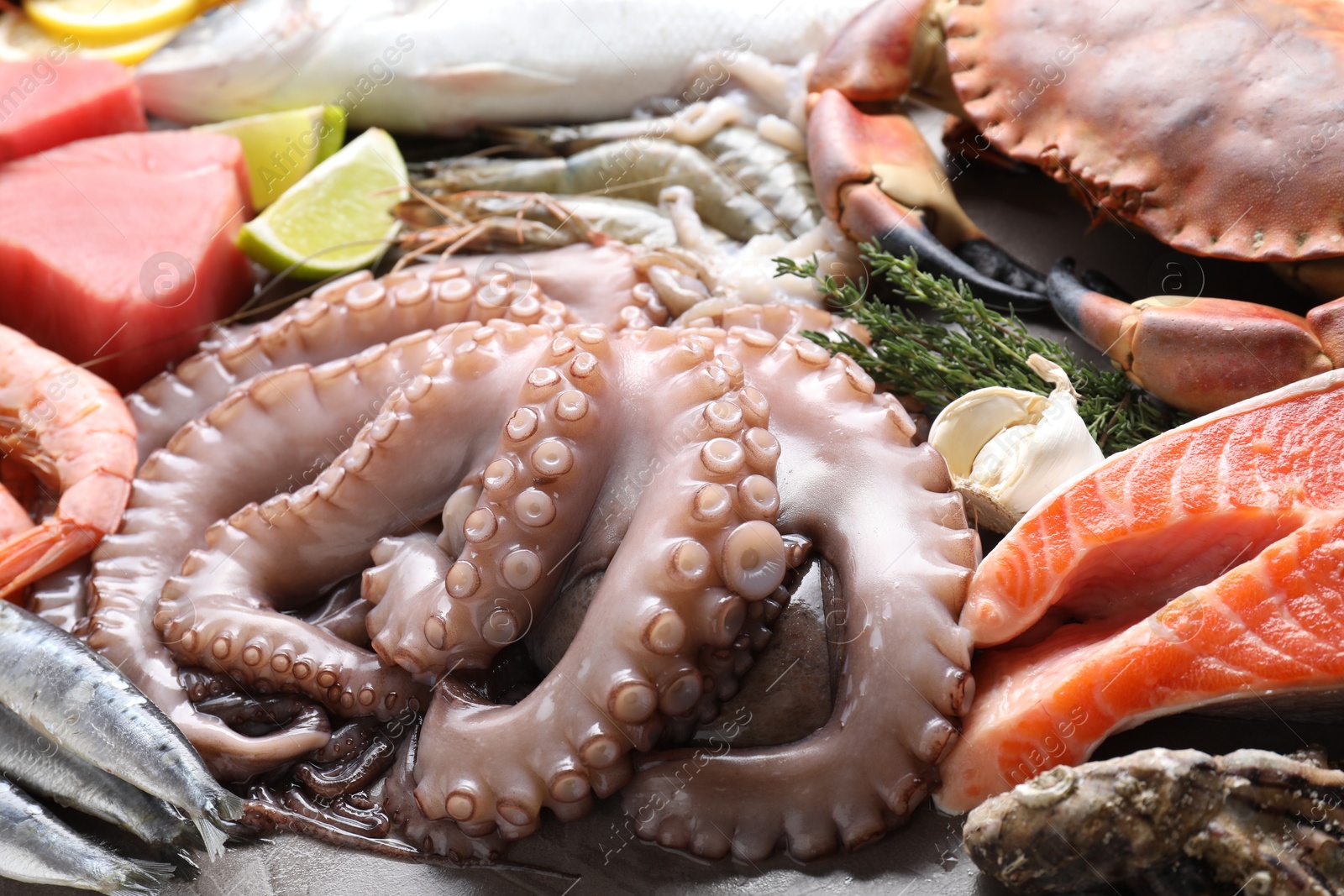 Photo of Many different sea food and thyme on table, closeup