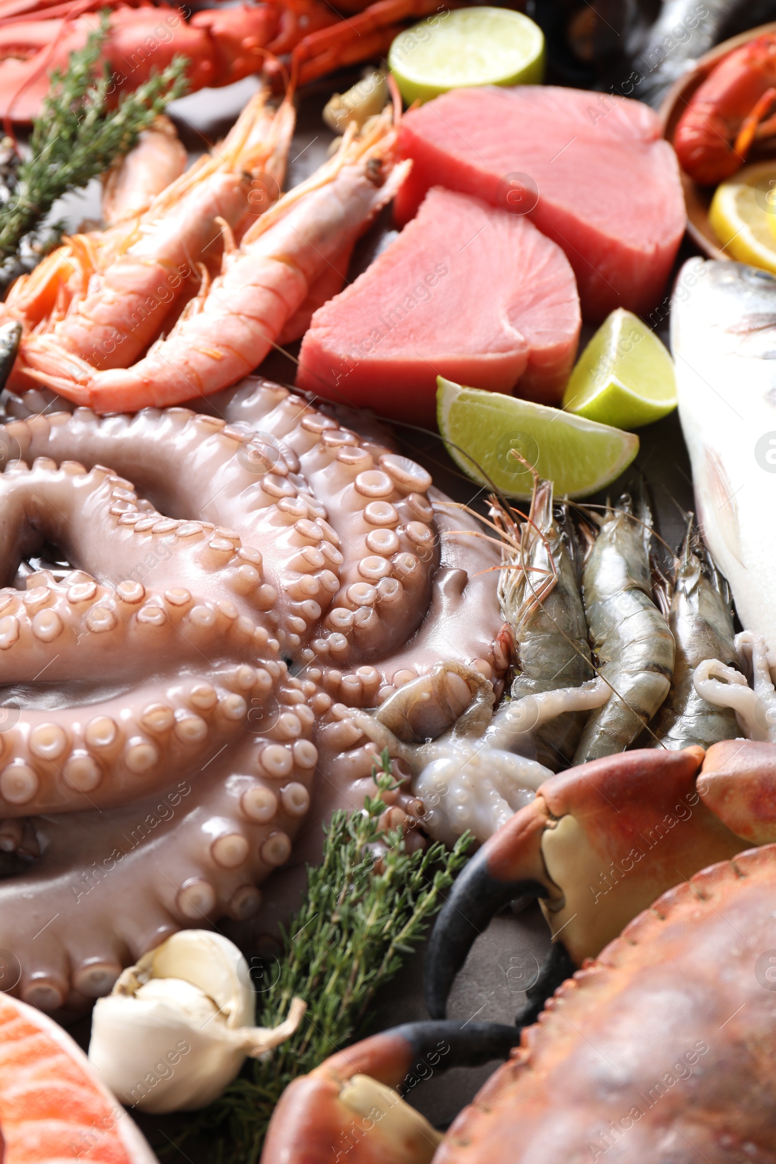 Photo of Many different sea food, garlic, thyme and lime on table, above view