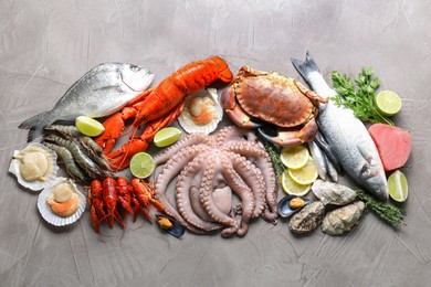 Many different sea food, herbs, lemon and lime on grey textured table, flat lay