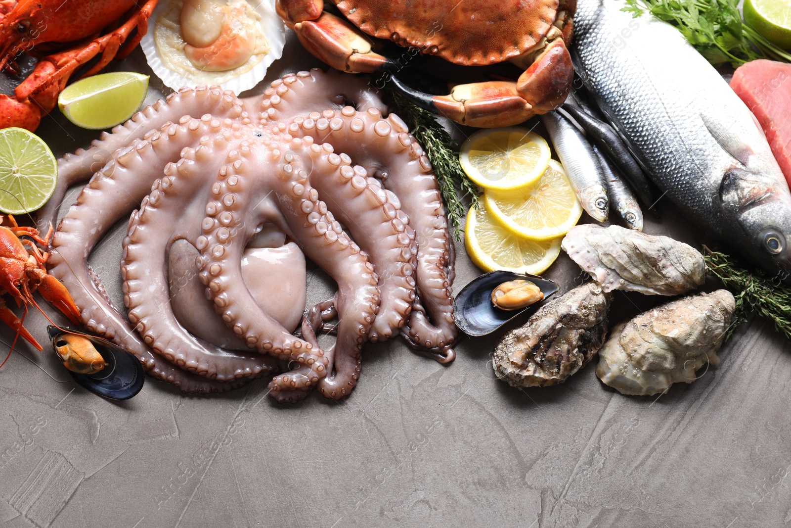 Photo of Many different sea food, herbs, lemon and lime on grey textured table, flat lay. Space for text