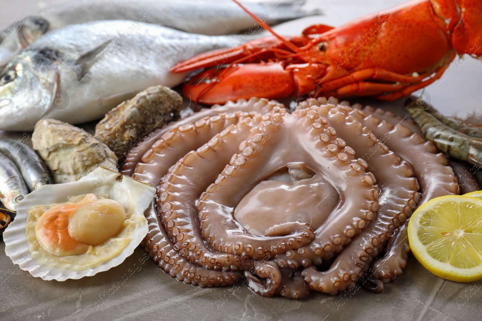 Photo of Many different sea food and lemon on grey textured table, closeup