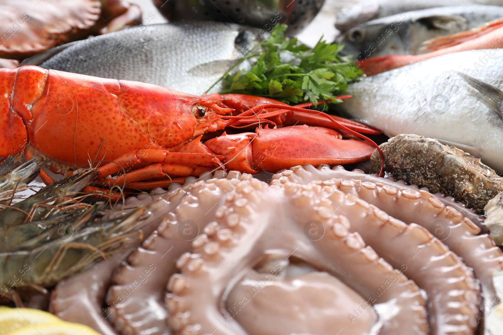 Photo of Many different sea food and parsley on table, closeup