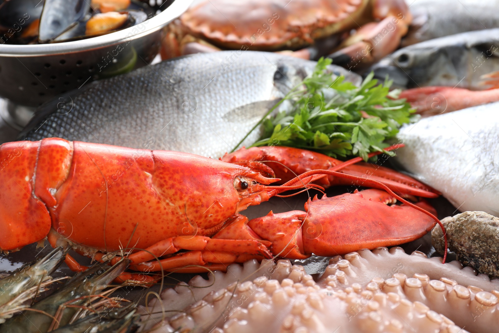 Photo of Many different sea food and parsley on table, closeup