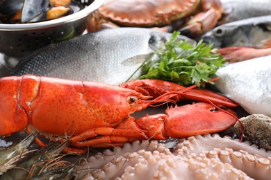 Photo of Many different sea food and parsley on table, closeup