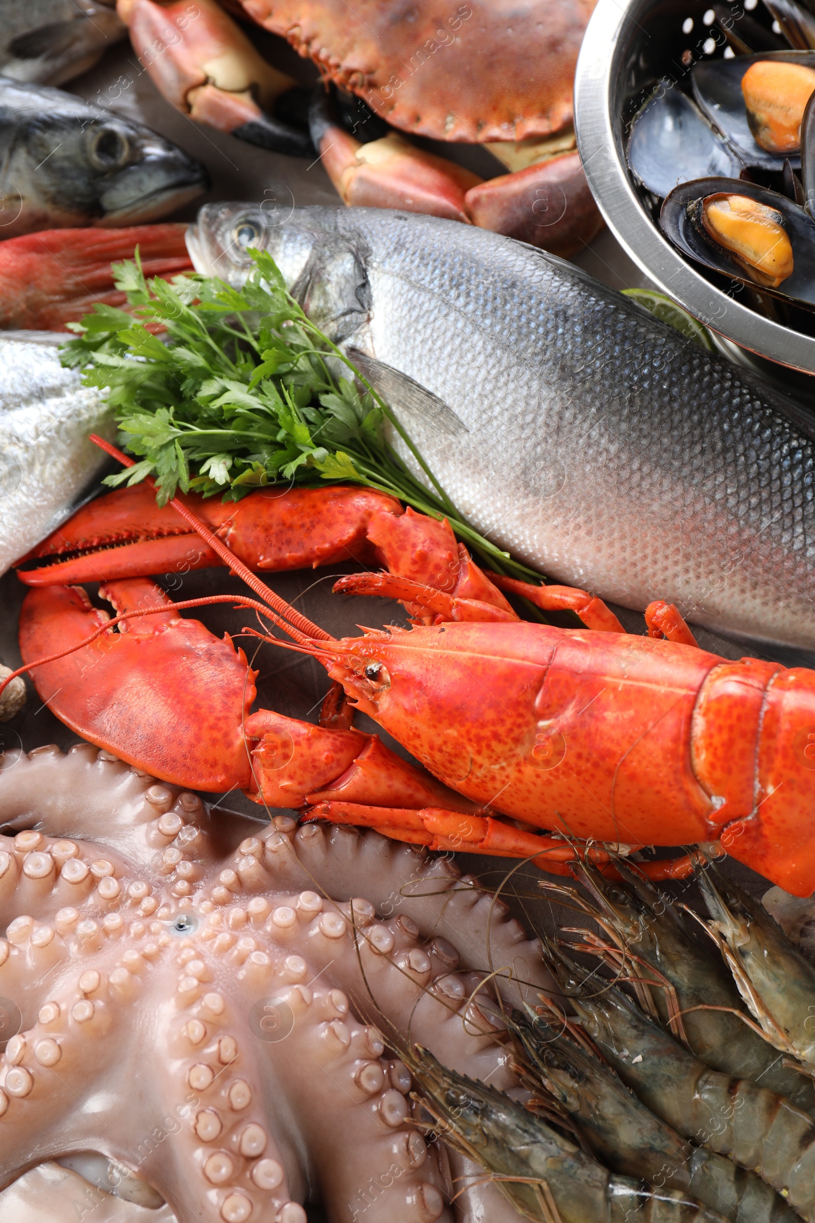 Photo of Many different sea food and parsley on table, flat lay