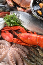 Photo of Many different sea food and parsley on table, flat lay