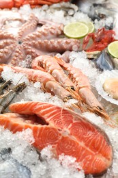 Photo of Fresh salmon steak, whole raw octopus and other sea food on ice, closeup