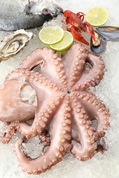 Whole fresh raw octopus and other sea food on ice, closeup