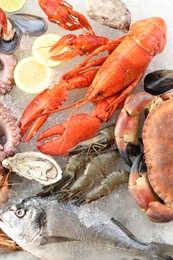 Crab, lobster and other sea food on ice, top view