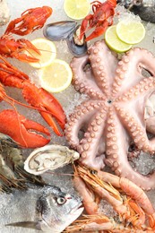 Fresh raw octopus, lobster and other sea food on ice, top view