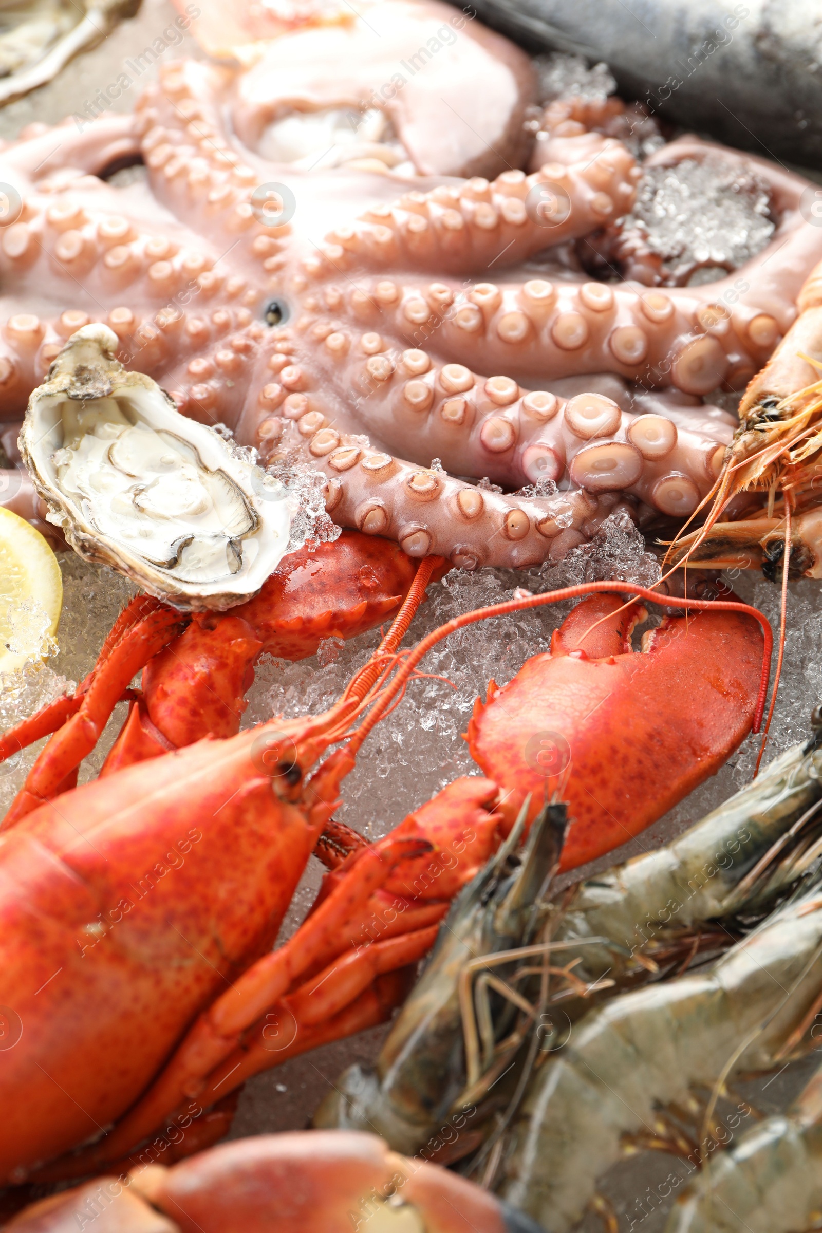 Photo of Whole fresh raw octopus, lobster and other sea food on ice, closeup