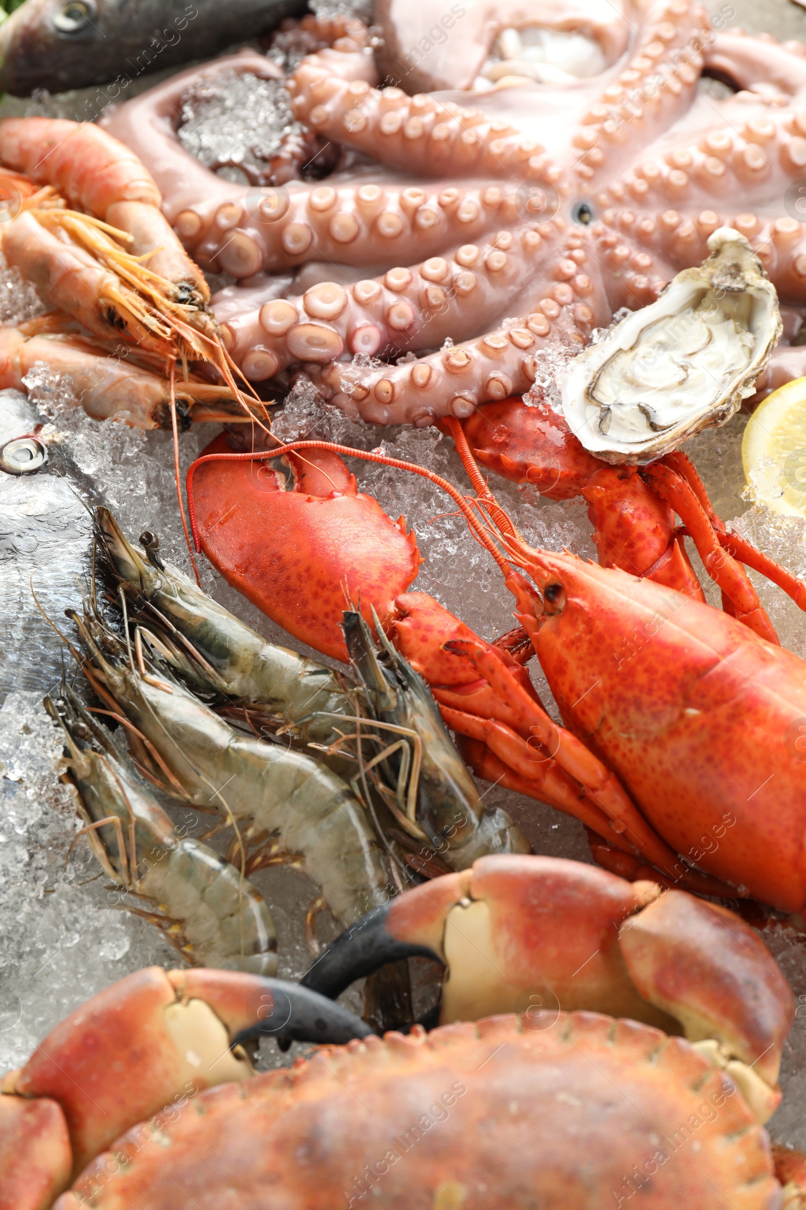 Photo of Whole fresh raw octopus, lobster and other sea food on ice, closeup