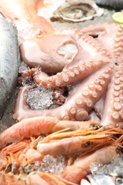 Photo of Whole fresh raw octopus, lobster and other sea food on ice, closeup