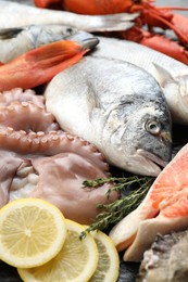 Whole fresh raw octopus, fish and other sea food as background, closeup