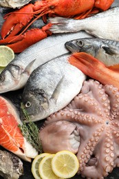 Photo of Whole fresh raw octopus, fish and other sea food as background, flat lay