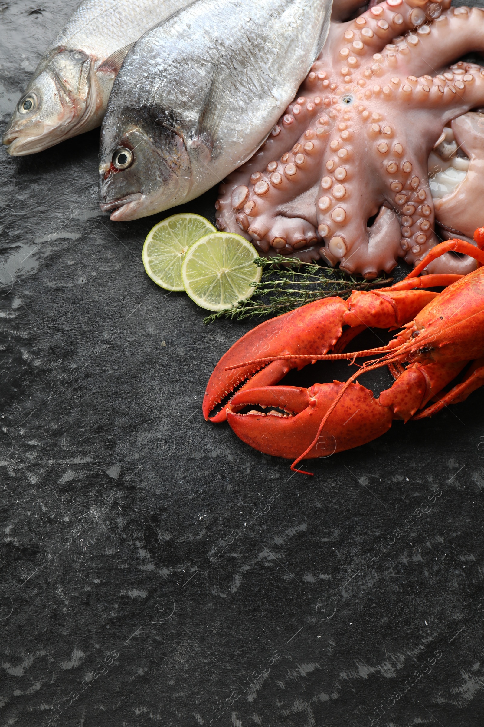 Photo of Sea food. Fresh raw octopus, fish and lobster on black table, flat lay. Space for text