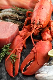 Whole fresh raw lobster and other sea food as background, closeup