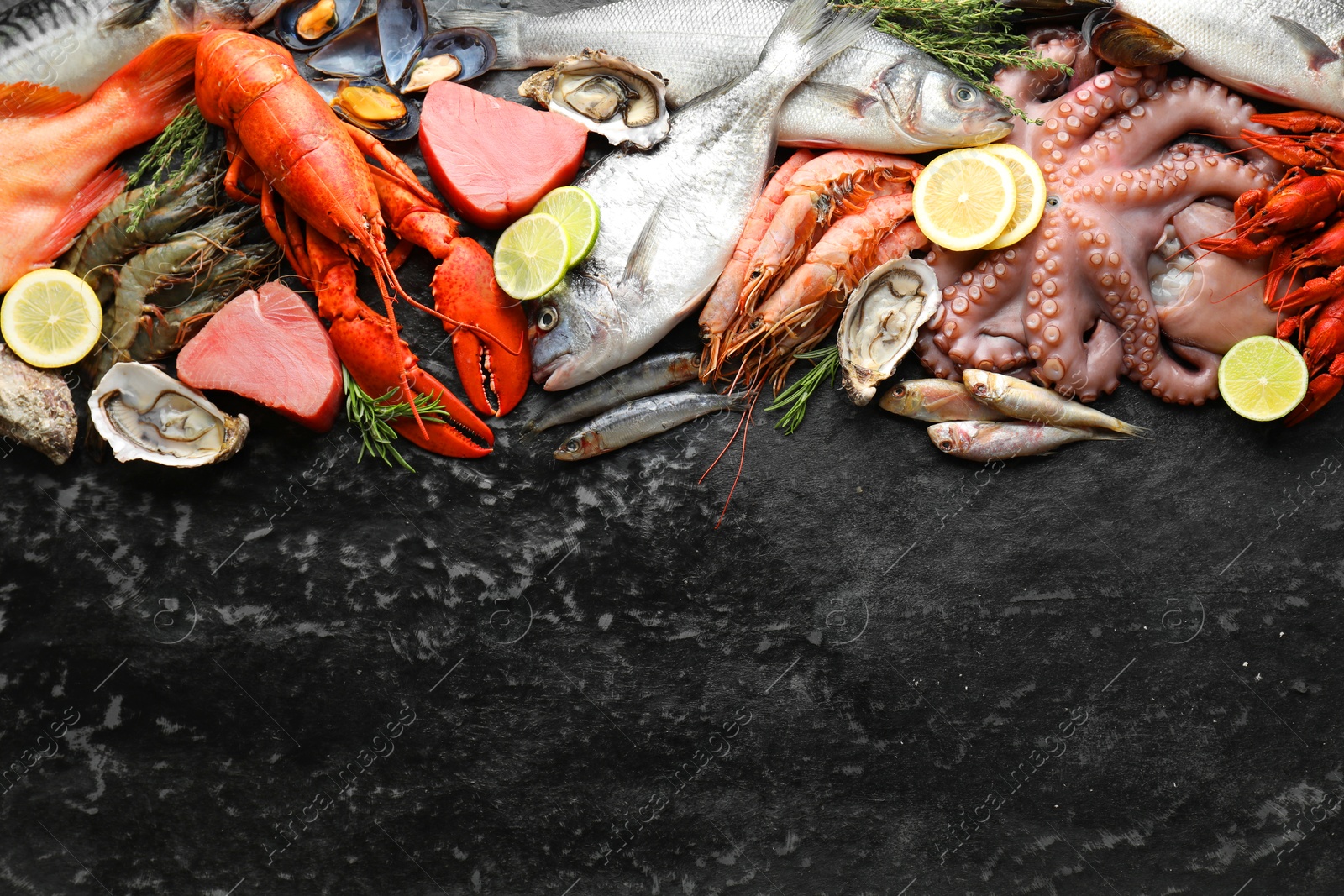 Photo of Fresh raw octopus, lobster, fish and other sea food on black table, top view. Space for text