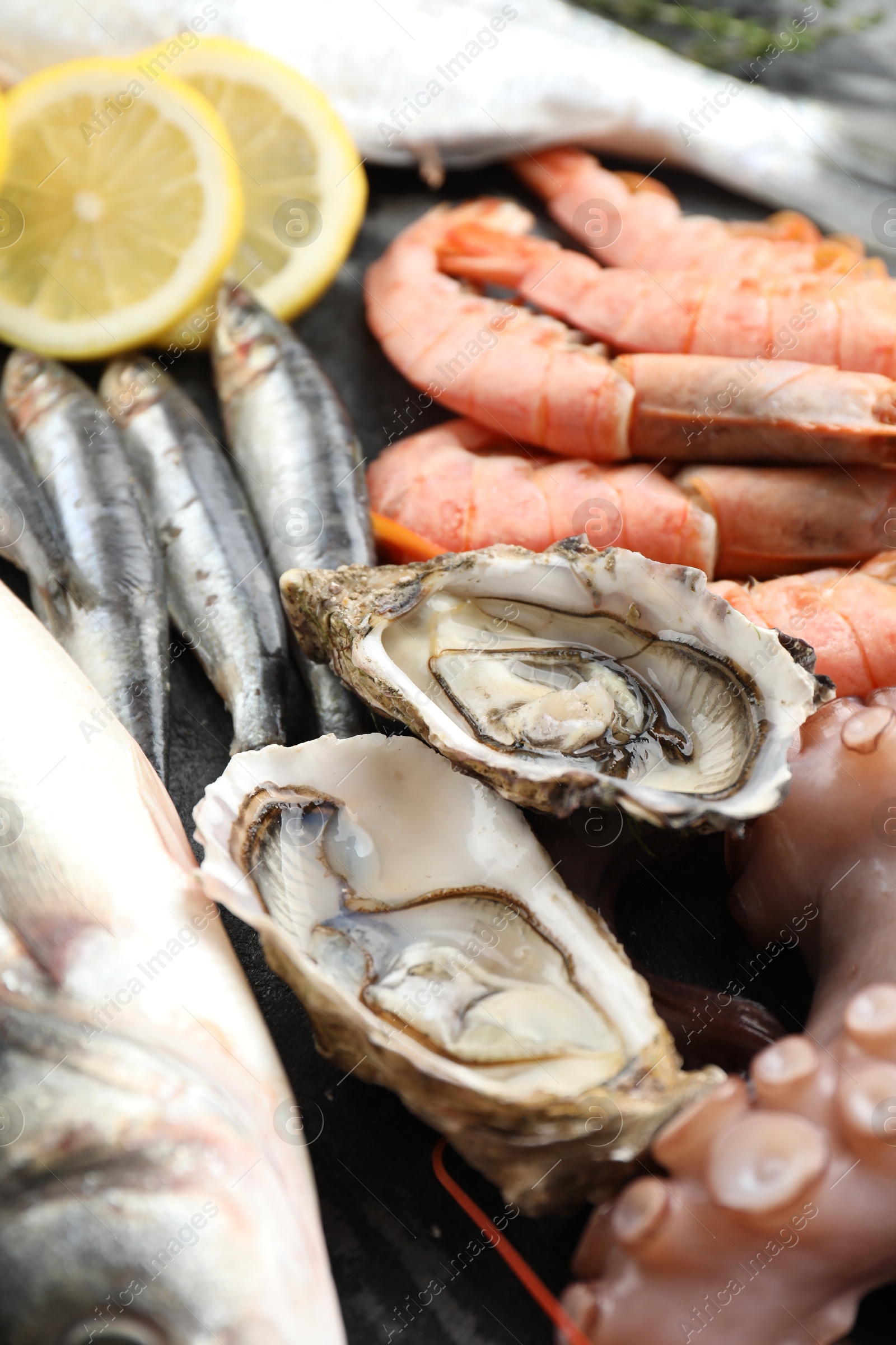 Photo of Fresh fish and different sea food on table, closeup