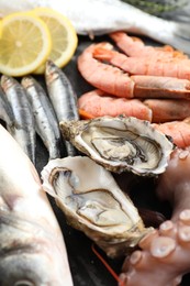 Fresh fish and different sea food on table, closeup