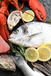 Fresh fish and different sea food on table, top view