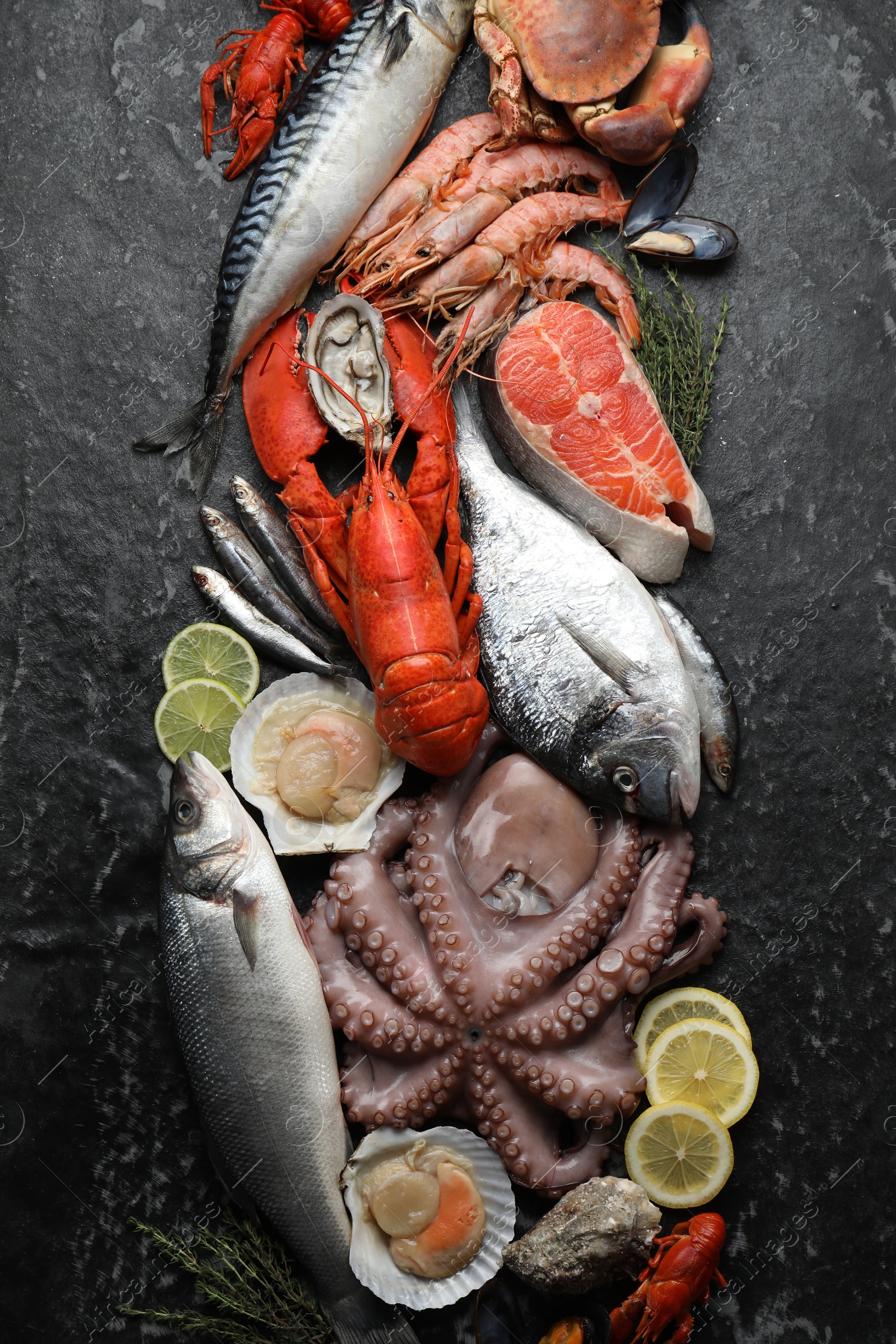 Photo of Fresh fish and different sea food on black table, top view