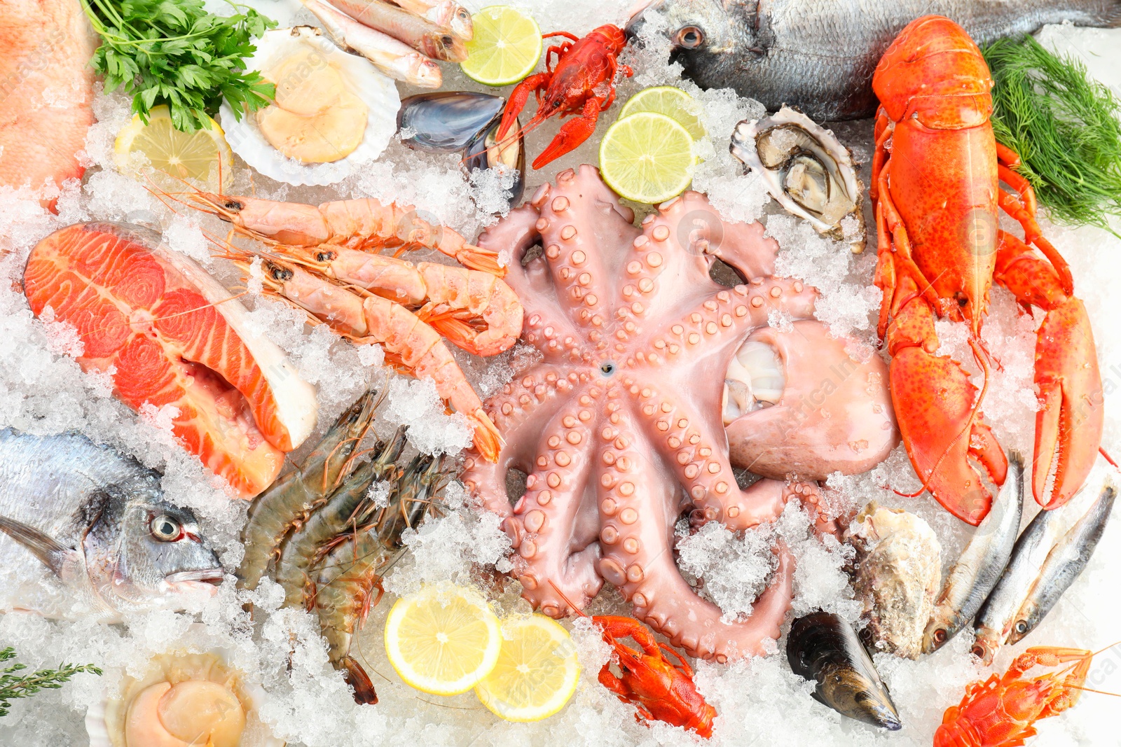 Photo of Fresh raw octopus, shrimps and different sea food on ice, top view