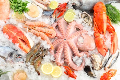 Photo of Fresh raw octopus, shrimps and different sea food on ice, top view