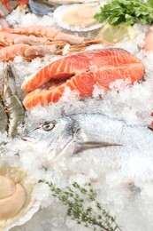 Photo of Fresh fish and other sea food on ice, closeup