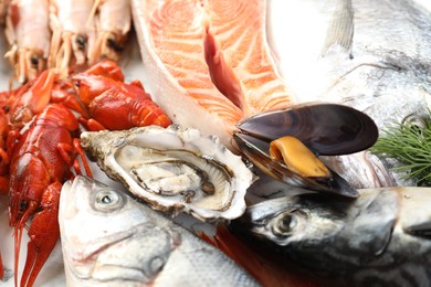 Different sea food on white table, closeup