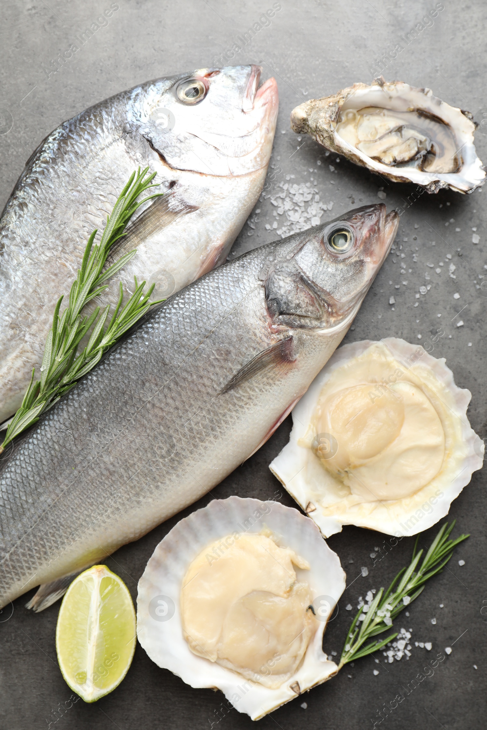 Photo of Different sea food on grey table, flat lay