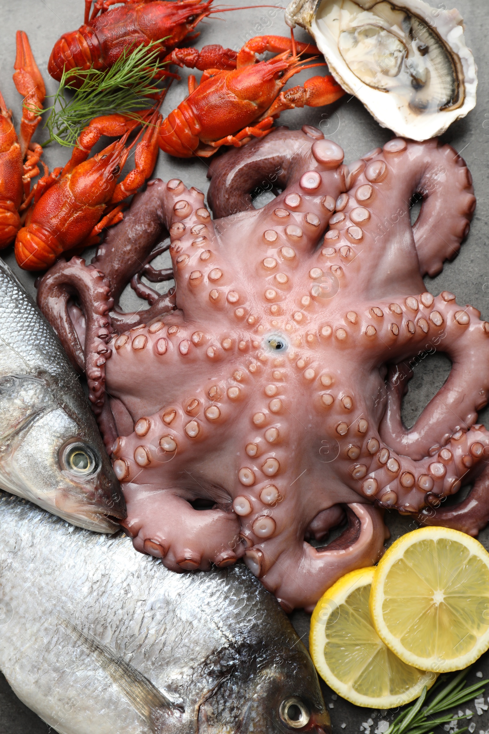 Photo of Different sea food on grey table, flat lay