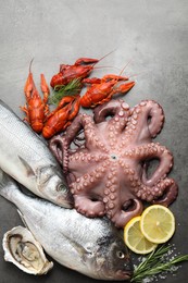 Different sea food on grey table, flat lay