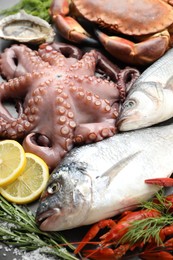 Different sea food on grey table, closeup