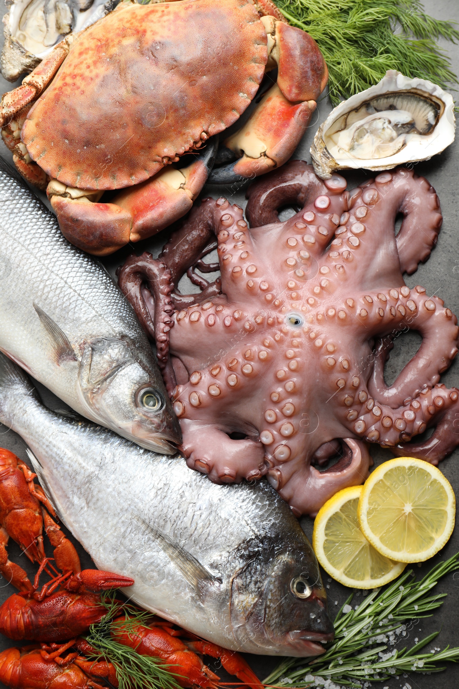 Photo of Different sea food on grey table, flat lay