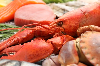 Lobster and other sea food on table, closeup