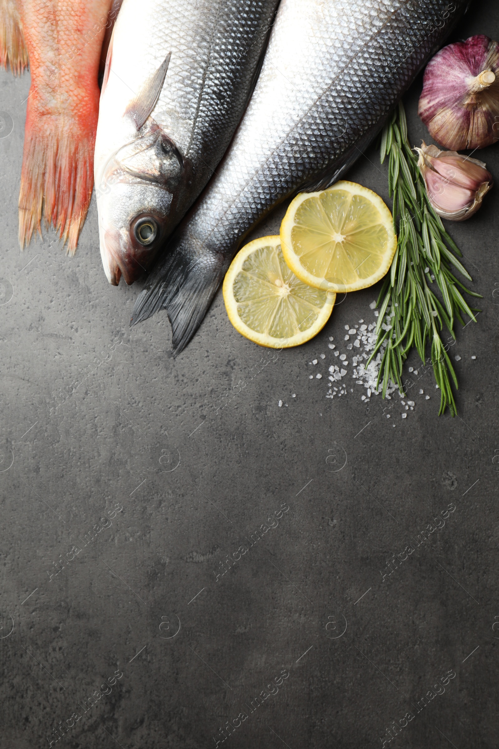 Photo of Different fishes and spices on grey table, top view with space for text. Sea food