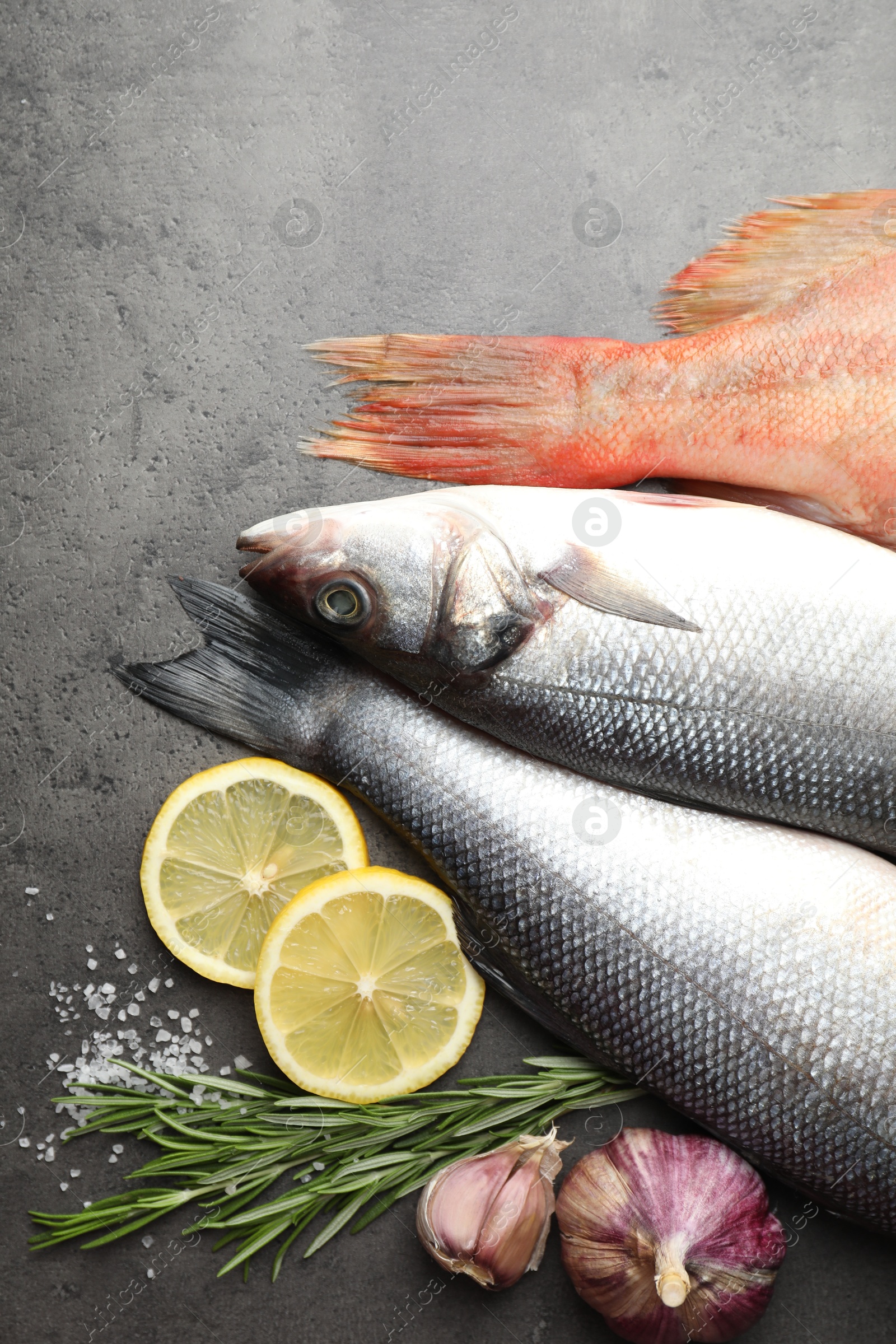 Photo of Different fishes and spices on grey table, top view. Sea food