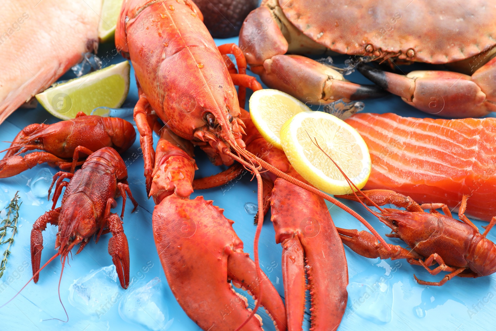 Photo of Different sea food on light blue wooden table, closeup