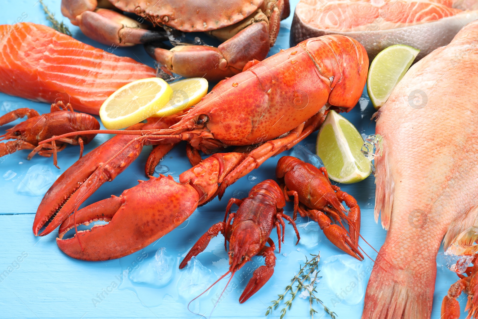 Photo of Different sea food on light blue wooden table, closeup