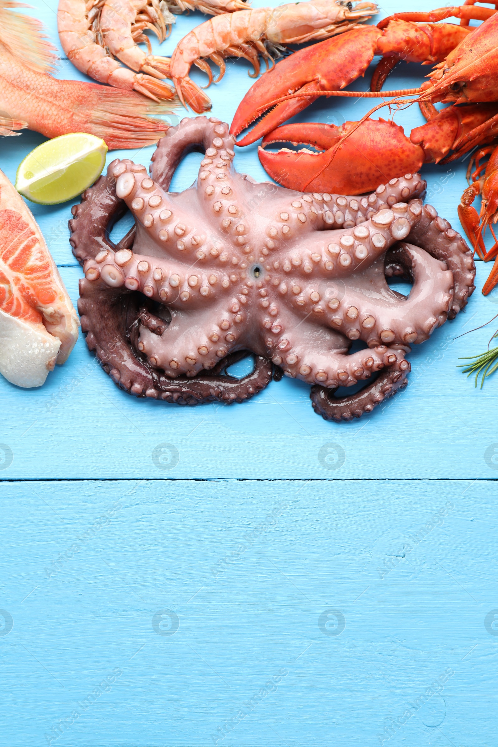 Photo of Different sea food on light blue wooden table, flat lay. Space for text