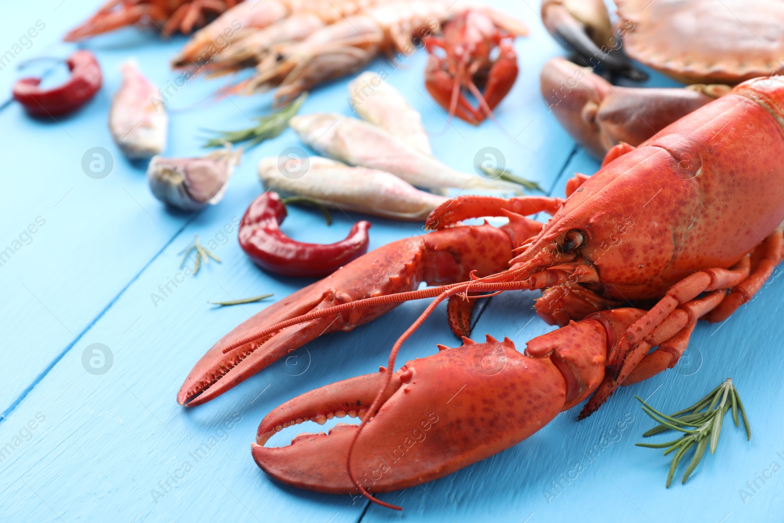 Photo of Different sea food on light blue wooden table, closeup