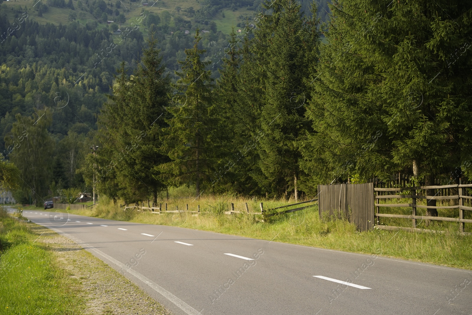 Photo of Beautiful view of green trees and asphalt road in mountains