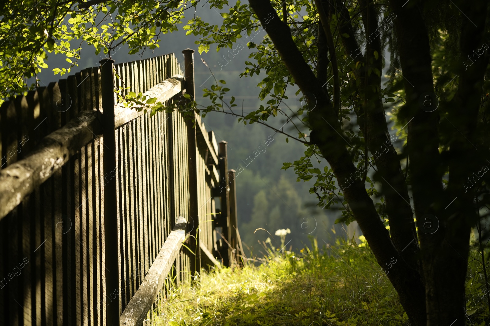 Photo of Beautiful view of wooden fence and trees in mountain village