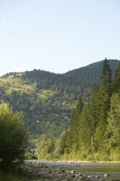 Photo of Beautiful view of river and forest in mountains